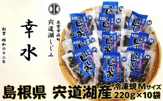 yo_szΎYⓀ݄MTCYik12mm`14mmj220×10 322032_BU002