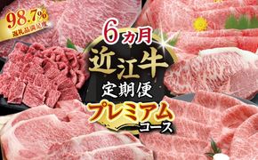 【期間限定】特選近江牛定期便（６カ月）プレミアムコース【ZZ53W】（滋賀県　近江八幡市）