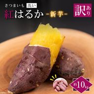 ★訳あり★【2026年9月より順次発送】農産物直売所「やさいの声」紅はるか 新芋 洗い 約10kg|訳ありさつまいも サツマイモ 紅はるか 洗い 行方市 ふるさと納税(EK-10)