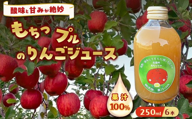 もちっプルのりんごジュース 果汁100% 250ml×6本 りんごジュース ジュース 飲料 100%果汁 サンふじ 山ノ内町 もっちーの畑