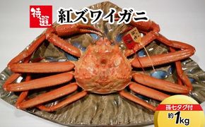【特選】紅ズワイガニ約1kg（孫七タグ付） ※2025年9月中旬～2026年3月下旬頃に順次発送予定