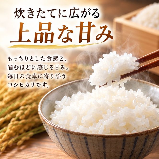 3ケ月連続 福井県若狭町 コシヒカリ （一等米） 10kg（5kg×2）（神谷農園） お米 ブランド米 銘柄米 ご飯 おにぎり お弁当 産地直送 和食 主食