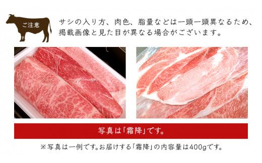 ＜ 定期便 ＞ 厳選 『 常陸牛 』 12ヶ月セット ( 茨城県共通返礼品 ) A5 A4 肉 焼肉 国産 霜降 サーロイン ヒレ もも ハンバーグ ステーキ すき焼き しゃぶしゃぶ [BM028us]