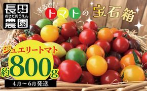 【2026年度予約分】【お試し】まるでトマトの宝石箱！フルーツジュエリートマト 約800g 長田農園 産地直送 トマト とまと 野菜 やさい フルーツ サラダ 濃厚 甘い ご褒美 プレゼント 美容 健康 リピート多数 人気 高評価 先行受付 数量限定 碧南市 H004-115