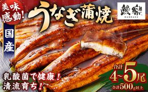 極上鰻！うまい！＜宮崎県産 うなぎ蒲焼 4～5尾 計500g以上＞【c1451_mn】