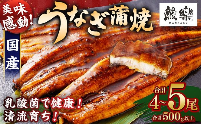 y{茧S璬zɏVI܂I{茧Y Ȃ 4`5 v500gȏいyc1451_mnz