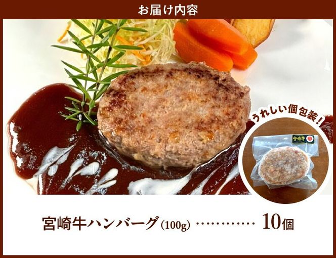 宮崎牛ハンバーグ100ｇ×10個 N124-YD0199