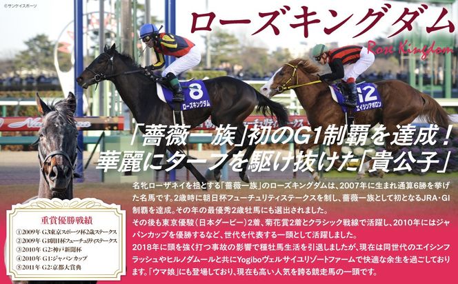 【ローズキングダム】キャップ BRTV253