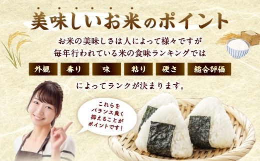 【令和8年産】 夢つくし 香春町産 わぎえ米 10kg 【2026年9月上旬より順次発送】 お米 米 白米 ごはん ご飯 おにぎり 国産 福岡県産 福岡県 香春町