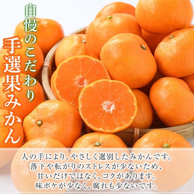 訳あり！鹿児島県産手選果みかん(計10kg) 国産 柑橘 果物 フルーツ ご家庭用 サイズ 不揃い【三笠農業生産】akn051-11