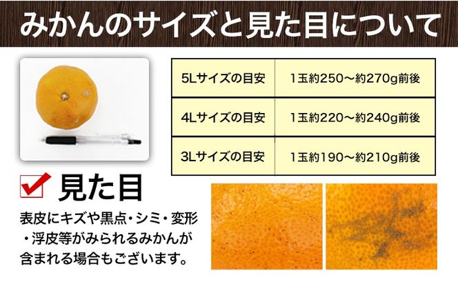 ご家庭用 熊本 大粒みかん 約5kg (3L～5Lサイズ)大玉 みかん 先行予約 熊本 ちょっと 訳あり 傷 たっぷり 熊本県産 熊本県 期間限定 フルーツ 旬 柑橘 長洲町 大粒みかん《2025年1月中旬-2月末頃より出荷予定》---fn_notbmkn_bc1_25_8000_5kg---