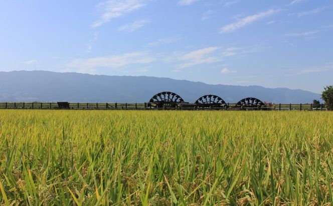 福岡県朝倉市　日本旅行　地域限定旅行クーポン150,000円分 チケット 