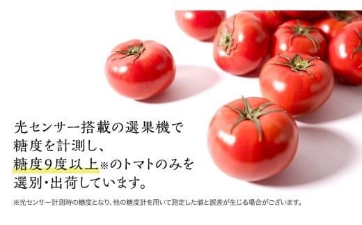 スーパーフルーツトマト 大箱 約2.6kg × 1箱 【大玉 20～35玉】 2026年産 野菜ソムリエサミット 金賞 糖度9度 以上 野菜 フルーツトマト フルーツ トマト とまと [AF063ci]