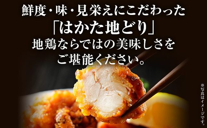 【ふるさと納税】はかた地どり もも肉 900g 300g×3パック 小分け 福岡県産 地鶏 鶏もも肉 モモ肉 とり肉 冷凍 地どり チキン 唐揚げ 水炊き おうちごはん お取り寄せ グルメ ギフト