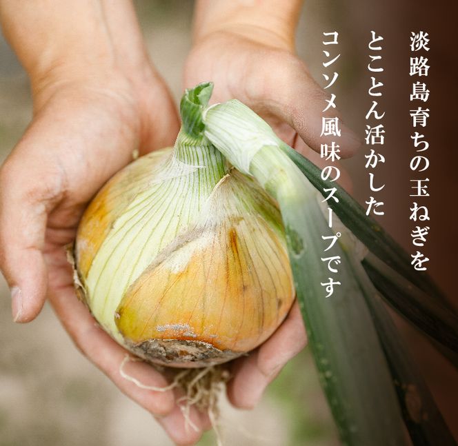 淡路たまねぎスープセット（フライドオニオン付）60食   スープ