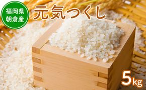 令和8年度産米 元気つくし 5kg  福岡県朝倉産 白米 精米 お米