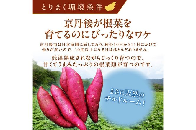 さつまいもオブザイヤー受賞のサツマイモ農家が作る「ホクホク金時」10kg（40～60本程度（150〜300g／本））　TF00005