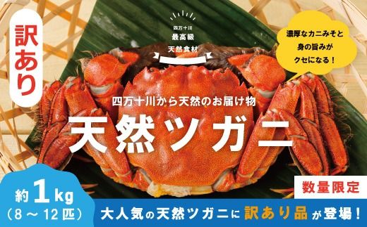 [ 訳あり 数量限定 ] 天然 ツガニ 約 1kg (8〜12匹) 訳アリ 訳あり品 濃厚 うまみ 魚介 蟹 かに カニ つがに モクズガニ もくずがに 人気 リピーター お取り寄せ だし 味噌汁 炊き込みごはん 四万十川 グルメ 高知県 高知 四万十市 四万十 しまんと