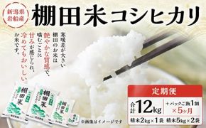 【定期便：5ヶ月連続でお届け】【令和7年産米】新潟県村上市岩船産 棚田米コシヒカリ 12kg+パックごはん(150g×1個)×5ヶ月 1067120