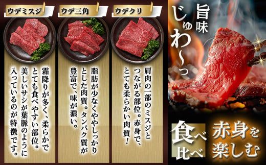 宮崎牛赤身6種 合計約600g_16-2601_(都城市) 牛肉 赤身 希少部位 食べ比べ 焼き肉 焼肉 BBQ ウデミスジ ウデ三角 ウデクリ とうがらし ウデ赤身 ウデカルビ 約100g 計600g 6種類セット