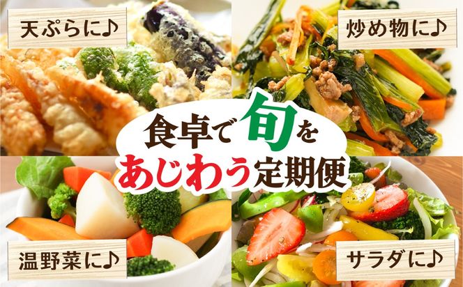 【毎月コース】野菜 キノコ 果物 11品目 詰め合わせ 7回 定期便  / 南島原市 / 吉岡青果[SCZ033]