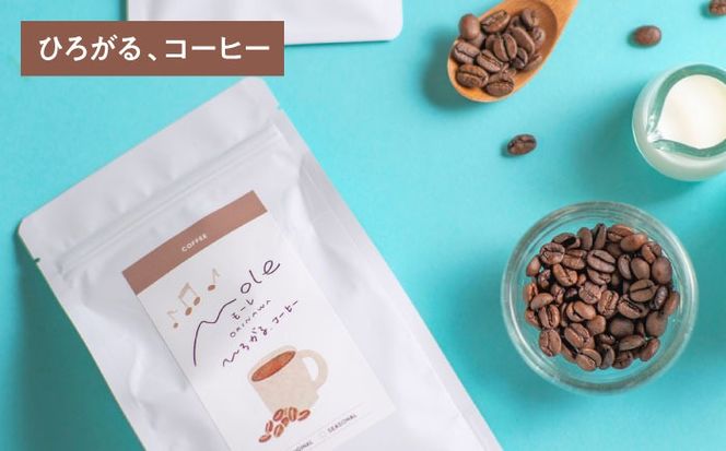 MOLE / おどれ、グラノーラ & ひろがる、コーヒーセット (豆のまま) 詰め合わせ 焼き菓子 コーヒー豆 粉 深煎り ギフト 沖縄市 / みやんち STUDIO&COFFEE[BCCX024-01]