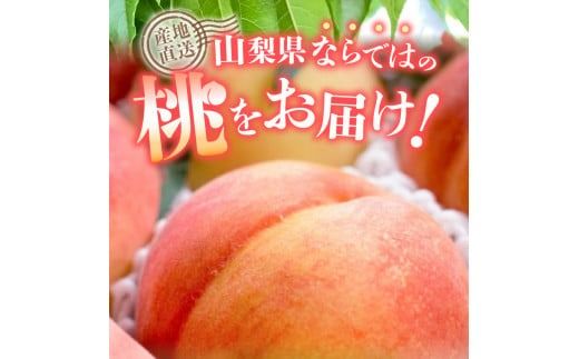 【2025年先行予約】山梨の朝どれ桃 （ 単品 定期便 が選べる）桃 山梨県産桃 果物 くだもの 果物 フルーツ もも