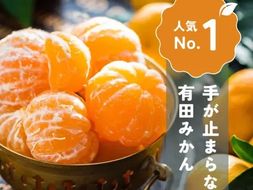 手が止まらない 訳あり 有田みかん 約5kg 大きさ無選別（2S〜3L） 糖度11度以上 鳴川農園 FD02