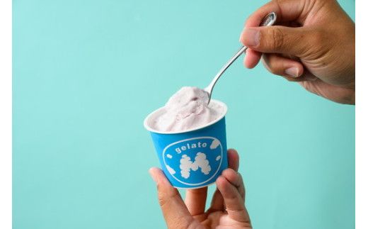 大粒冷凍ブルーベリー1kgと手作りブルーベリーヨーグルトジェラート6個セット ※離島への配送不可