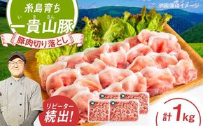 一貴山豚 切り落とし 計1kg(250g×4p) 糸島市 / いきさん牧場 豚肉 冷凍[AGB057] 豚肉 豚 ブランド豚 一貴山豚 ポーク 切り落とし 肉 250g