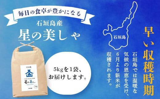 石垣島産 星の美(かい)しゃ 5kg みやぎ米屋【 日本一早い新米の産地 石垣 米 お米 産地直送 旬 ほしじるし 沖縄県 石垣市 】MK-3