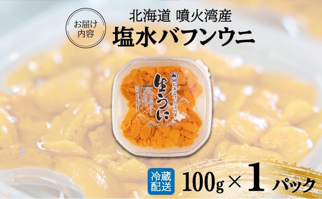 北海道 噴火湾産 塩水 バフンウニ 100g 1パック うに ウニ 雲丹 海鮮 海の幸 魚介類 ウニ丼 お寿司 濃厚 無添加 産地直送 産直 お取り寄せ 山村水産 送料無料 【55250661】