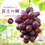 【希少品種】 富士の輝 1房（約700g）（ブラックシャインマスカット シャインマスカット ぶどう 旬 人気 期間限定 限定 果物 くだもの フルーツ プレゼント）
