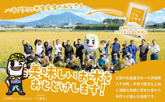 米 選べる 5kg 10kg 20kg 令和7年産  スピード発送 白米 精米