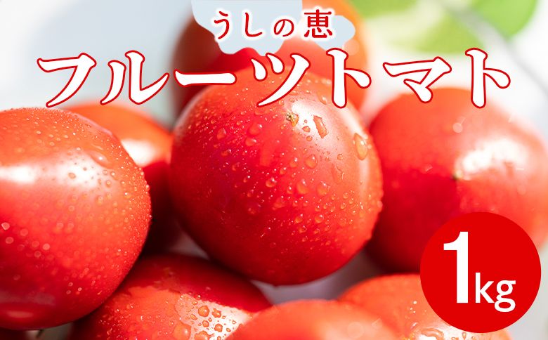 トマト 野菜ソムリエが育てた うしの惠フルーツトマト 1kg(500g×2) 甘い フルーツトマト 高知 アレンジ サラダ 鍋 サンドイッチ 完熟 リコピン 甘い あまい 贈答 国産 mj-0025