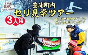 【豊浦町内】セリ見学ツアー（3人用） 