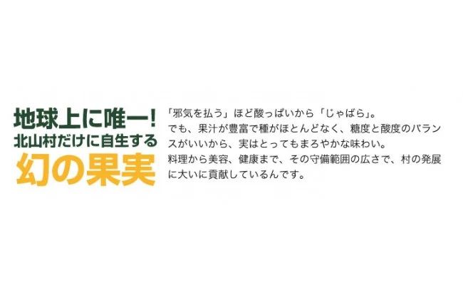 じゃばら果汁360ml×2本 100％ストレート 邪払 ジャバラ じゃばら 果汁 北山村 / 紀伊国屋文左衛門本舗_V7159
