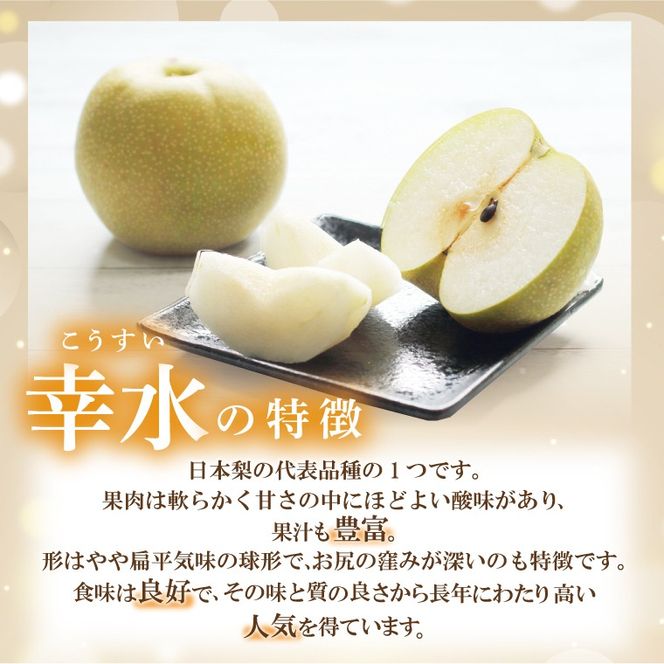 【先行予約】【数量限定】あい farm の梨 幸水 3kg (4～8玉) | 8月中旬より順次発送 梨 なし フルーツ 果物 新鮮 旬 梨園 益子町産 (DQ010)