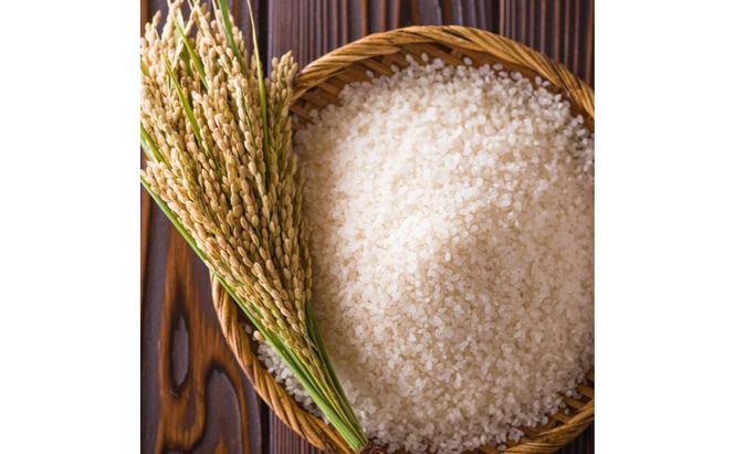 令和7年産！魚沼産こだわり従来コシヒカリ【農家直送!】10kg×1袋 お米 米 コメ 