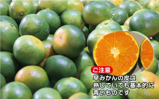 福岡県ブランド 極早生みかん「早味かん」3kg【JAほたるの里】_HA0886