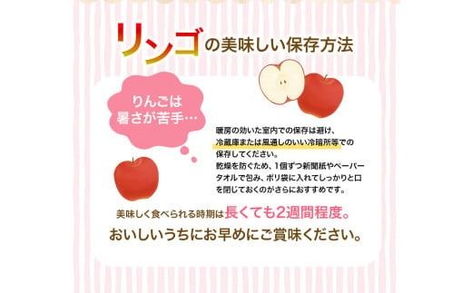 りんご・梨カテゴリ人気ランキング入り！≪12月末までの受付*無くなり次第終了≫【12月上旬より順次発送】大文字りんご園 サンふじ『大玉 約5kg』 (約10～12玉)  / 樹上完熟 りんご リンゴ 林檎 果物 くだもの フルーツ 甘い 旬 産地直送 予約 先行予約【dma513-sf-5D-big】
