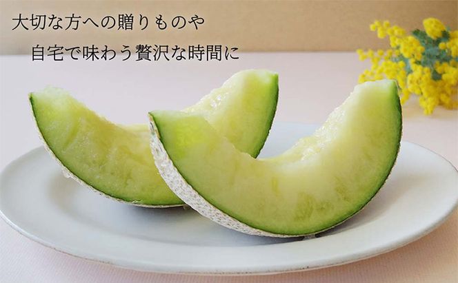 クラウンメロン【並（白等級）】中玉（1.3kg前後）1玉入り 人気 厳選 ギフト 贈り物 デザート グルメ 果物 袋井市 果物類 メロン青肉 フルーツ