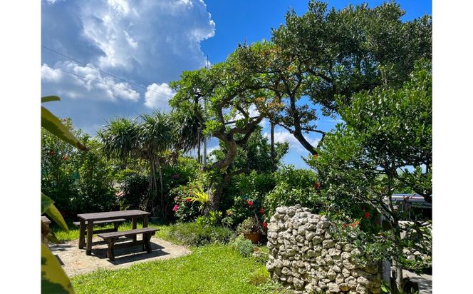 ＜songbird cafe＞焼き菓子の詰め合わせ ☆ スイーツ 沖縄 サブレ ラングドシャ クッキー 読谷村 セット商品 オススメ お土産に 人気 地場産品 手作り カフェ 隠れ家 プレゼントに