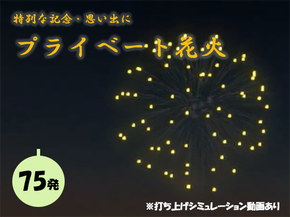【特別な記念・思い出に】プライベート花火（７５発） 花火 はなび 記念 思い出 プライベート アニバーサリー 誕生日 記念日 結婚 プロポーズ