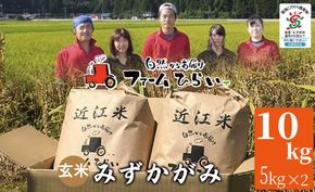 【C-997】【令和6年産　新米】ファーム ひらい　滋賀県環境こだわり米みずかがみ５Kg×２玄米［高島屋選定品］