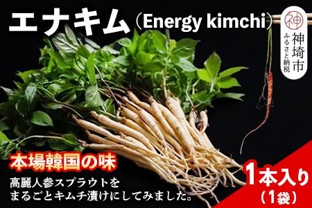 yꌧ_szyq`z`̃GiL(lQXvEgEL`)11{y{̖ `̖ ؍ sh Nu {sz(H104142)