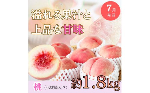 【全3回定期便】旬のフルーツ定期便 【田村みかん /  紀州デコ(不知火) /  桃】 ～和歌山の旬をお届け～ / みかん ミカン 温州みかん 有田みかん 不知火【tkb313】