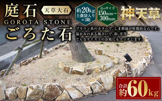 yF{Vszy3z΁A낽 V΁i150mm`300mmj 20kgyXܓ v60kg V  uE F  VR  F{ Vs