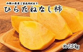 【2026年発送分予約】 【ご家庭用わけあり】和歌山秋の味覚　平核無柿（ひらたねなしがき） 約7.5㎏　※2026年10月上旬頃〜11月上旬頃に順次発送（お届け日指定不可）【uot718A】