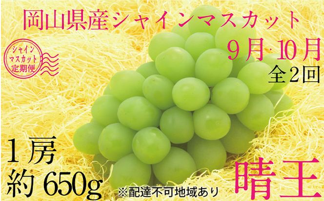 ぶどう 2026年 先行予約 9月・10月発送 シャイン マスカット 晴王 1房 約650g ブドウ 葡萄  岡山県産 国産 フルーツ 果物 ギフト 